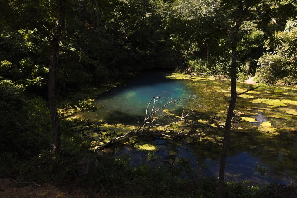 Blue Spring | See The Ozarks